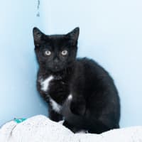 Photo of Fred