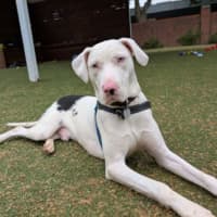 Photo of Casper