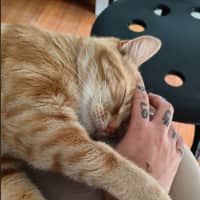 Photo of Mrs Garfield