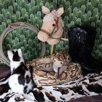 Photo of Calamity Jane