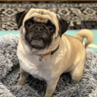 Photo of Snugglepot 