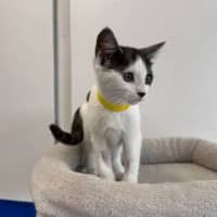 Photo of Sweetie