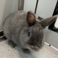 Photo of Bonnie Grey