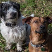 Photo of Bean And Dunkin Russelton