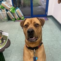 Photo of Blue