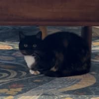 Photo of A Special Little Lady