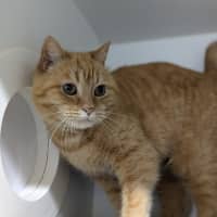 Photo of 🍓 Audrey 5452 🍓