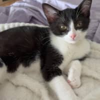 Photo of Daisy