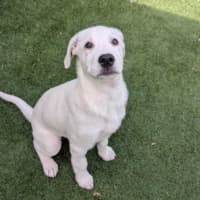 Photo of Barney