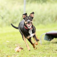 Photo of Delilah