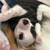 Photo of Wilma 