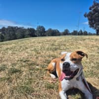 Photo of Yoko Newhaven