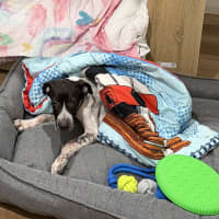 Photo of Lyka