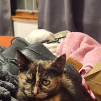 Photo of Maeve