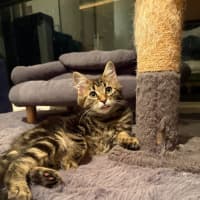 Photo of Woody & Friday