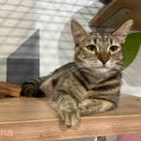 Photo of Gina