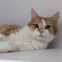 Photo of Aggie