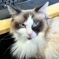 Photo of Ruby Sua014398