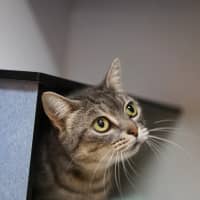 Photo of Lucy