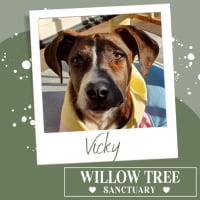 Photo of Vicky