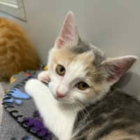 Photo of Martha & Morgan 