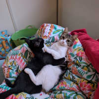 Photo of Honey & Rory 🥰