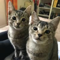 Photo of Billy And Oliver