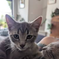 Photo of Maya Scotty