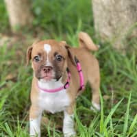 Photo of Kiki