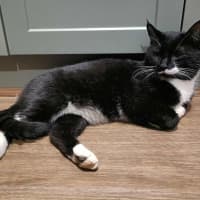 Photo of Mr Moustache