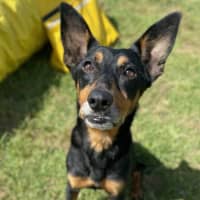 Photo of Sookie