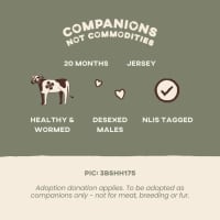 Photo of Daryl, Hank And Oscar