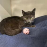 Photo of Elvira