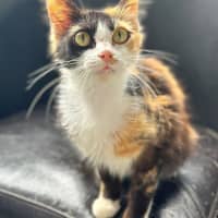 Photo of Penelope