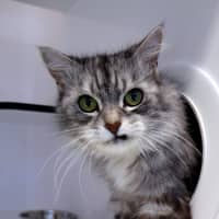 Photo of Mia Sua014521