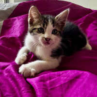 Photo of Maxie