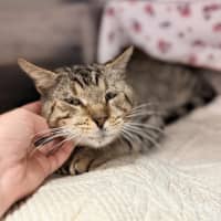 Photo of Bruce Wayne