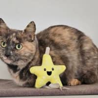 Photo of Tallulah