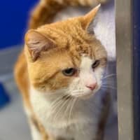 Photo of Mr Sleepy Pumpkin