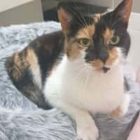 Photo of Queen Mimmi