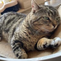 Photo of Bryant Russelton