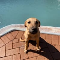 Photo of Loki