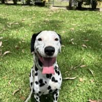 Photo of Atlas