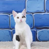 Photo of Mr Biscuits