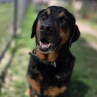 Photo of Chase