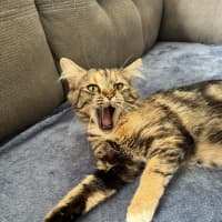 Photo of Samara Mae 