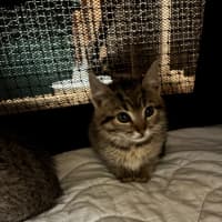 Photo of Fable
