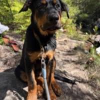 Photo of Bundee