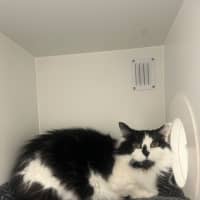 Photo of Violet 