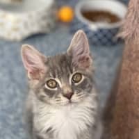 Photo of Bobbi